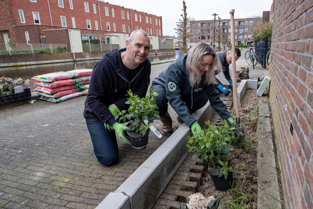 NK Tegelwippen in Krimpen aan den IJssel start met de aanleg van een geveltuin. 
