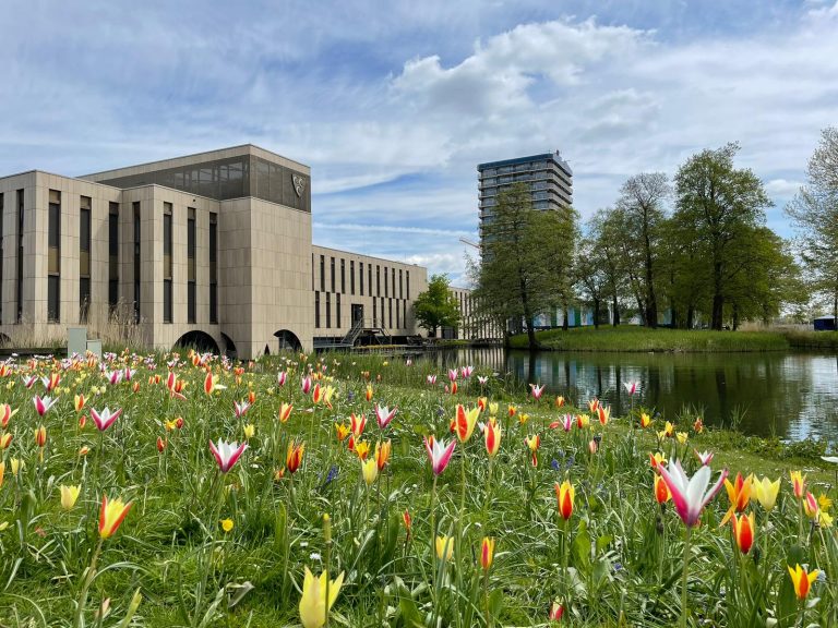 Afbeelding van het raadhuis ter illustratie
